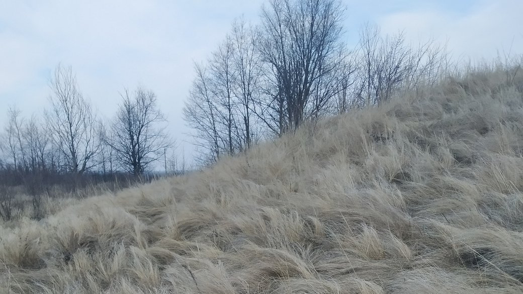 Фото: Курган з ковилою на Золотоніщині. Київський еколого-культурний центр