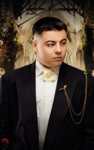 SHUMEI. Всеукраїнський тур
